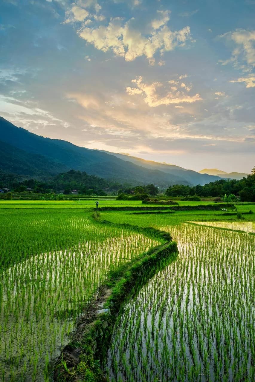 Pai mountain town with lush green scenery